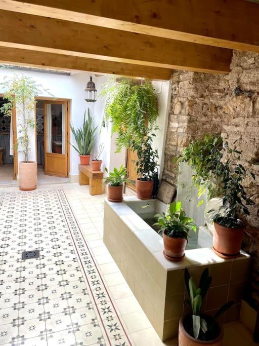 Apartamento En Casa Patio "Pan Y Conejo" قرطبة المظهر الخارجي الصورة